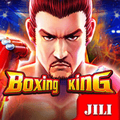 Capa do jogo Boxing King