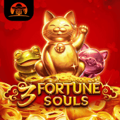 Capa do jogo 3 Fortune Souls