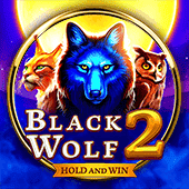 Capa do jogo Blackwolf2